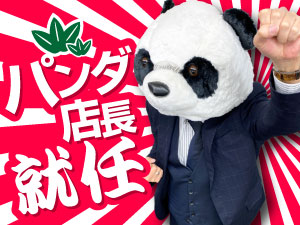 求人バニラ