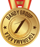 YOKOHAMA DANDYの姫咲ひなのちゃん、ランキング1位